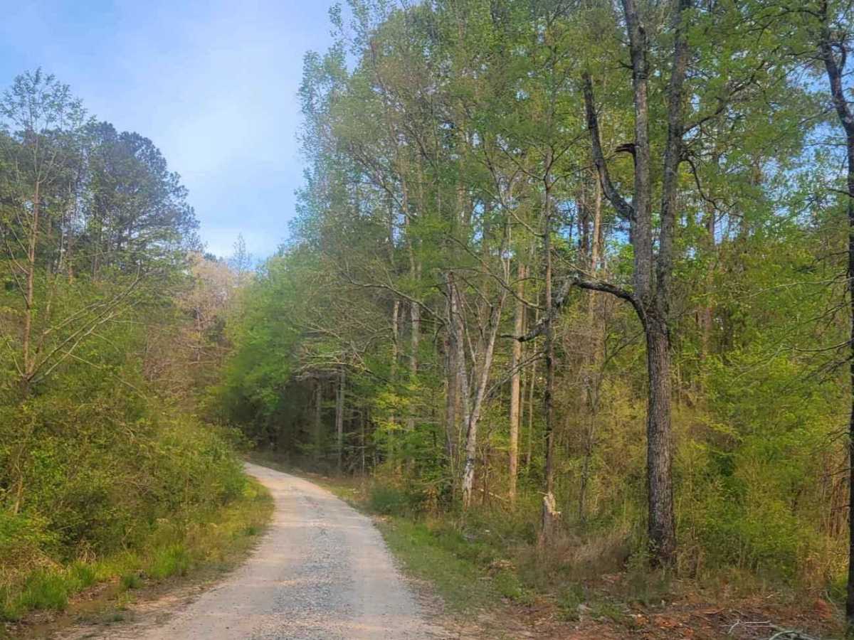 Felton McMichael Road photo 3
