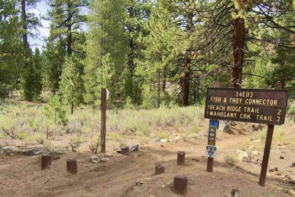 Campground Connector