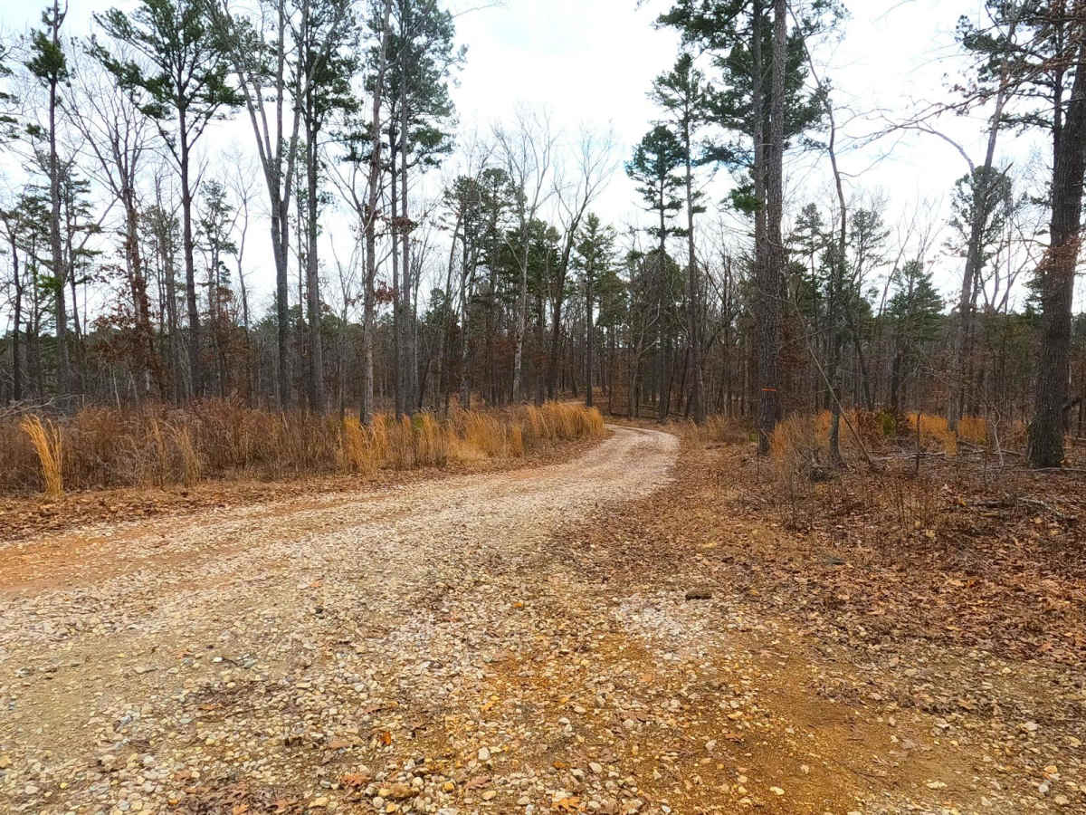 Snapps Hollow - FS 2698 photo 5