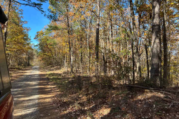 Braziel Creek Road - FS 223