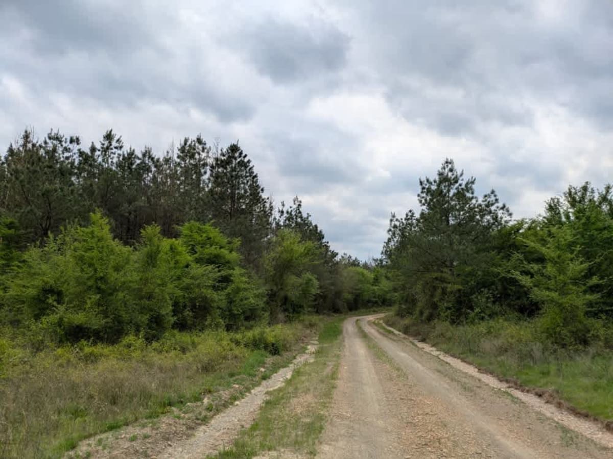 51700 photo 4