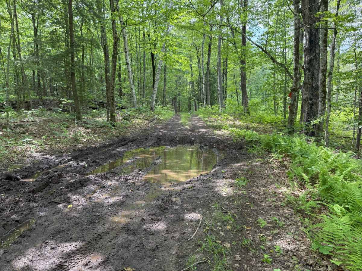 Talcott Road to Old Stage Road photo 5