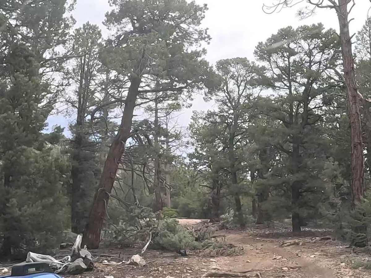 Upper Holcomb - 3N83 photo 2