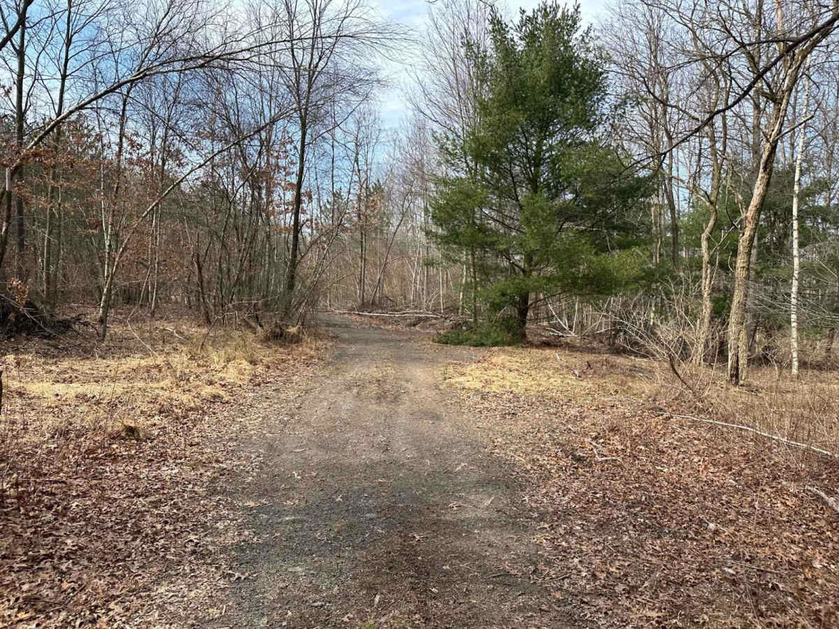 Ashland 93 photo 4