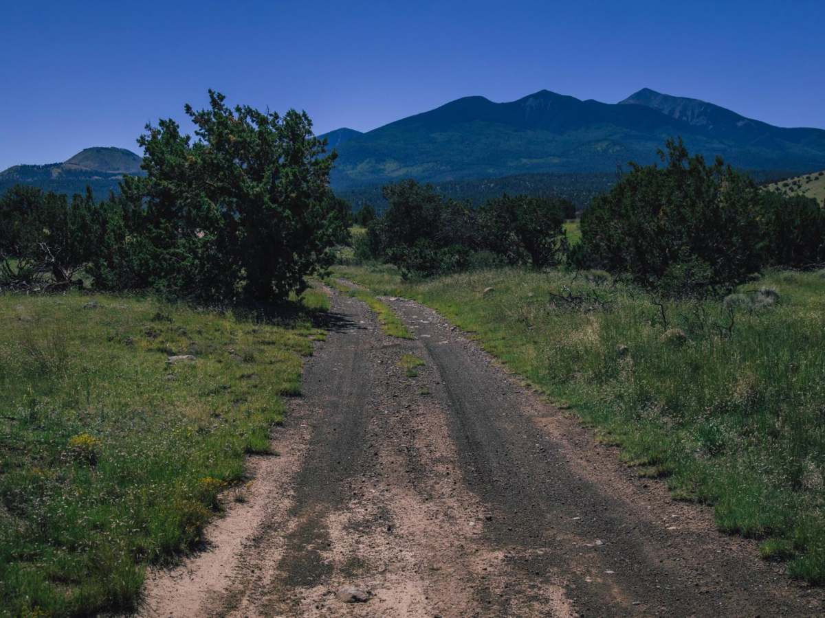 Reese Canyon photo 2