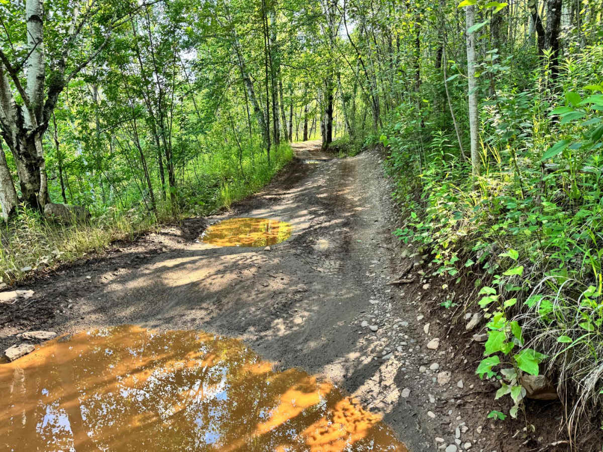 Berry Trail photo 5