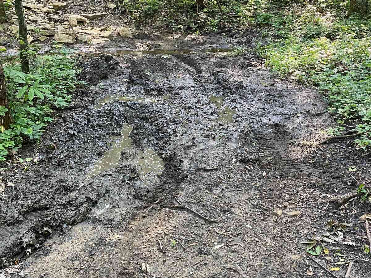 Muskrat Hill photo 2