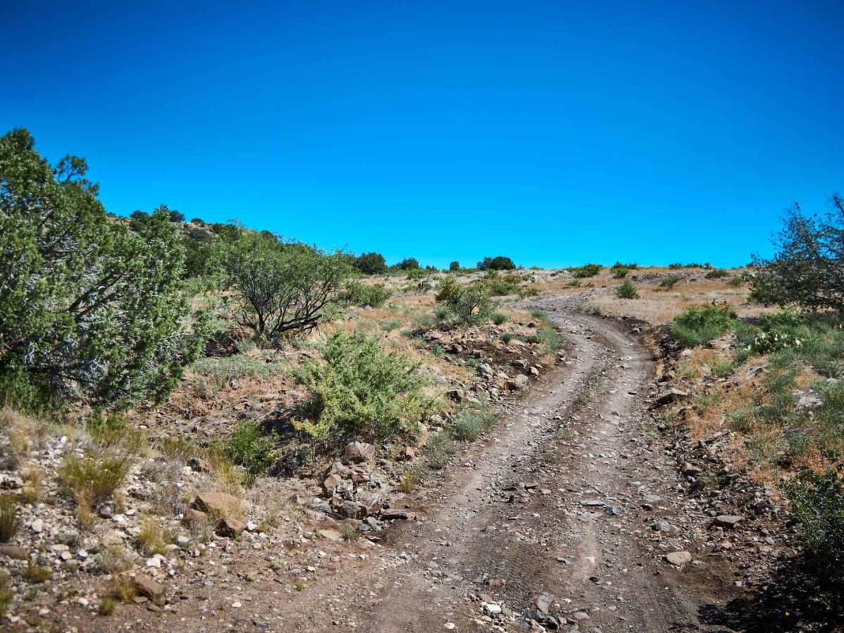 Uphill Slog photo 4