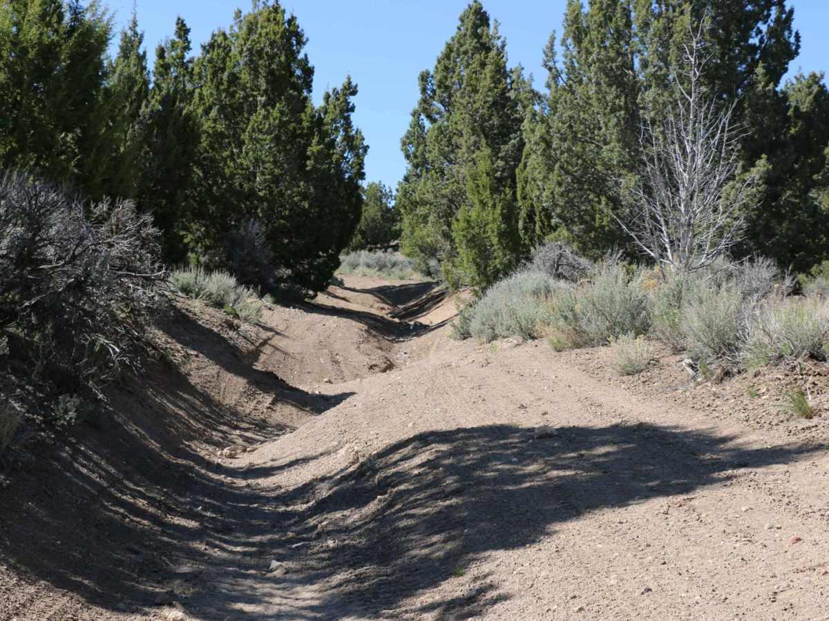 Independence / East Standard Mine Loop photo 2