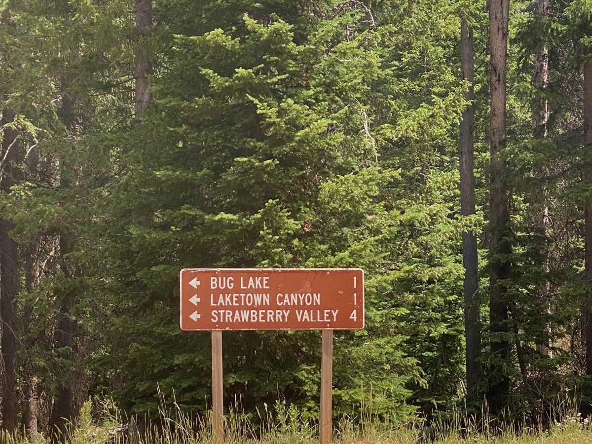 Old Canyon Trail photo 6