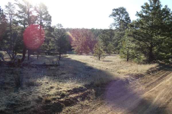 House Mountain Road