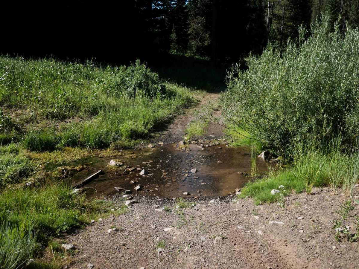 South Fork Timber Creek #5127 trail photo