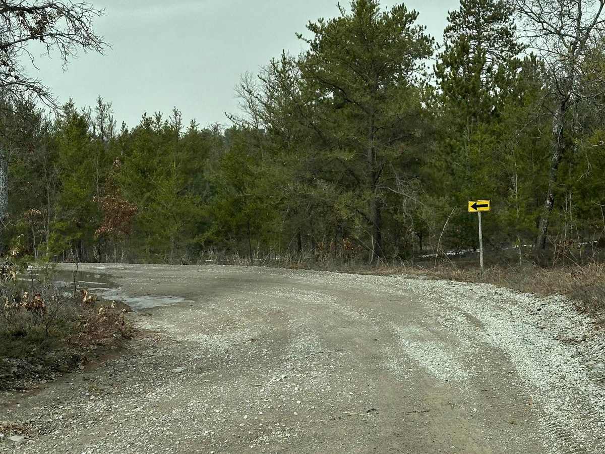 LP 492 photo 6
