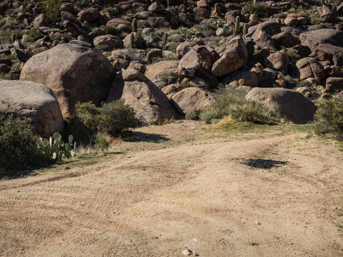 Echo Wash photo 2