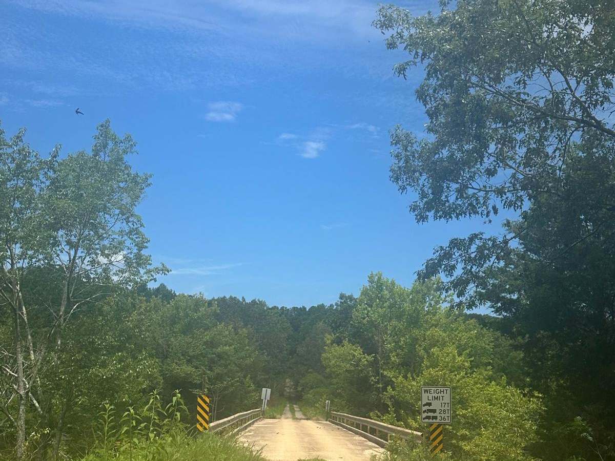 FS - 174 photo 5