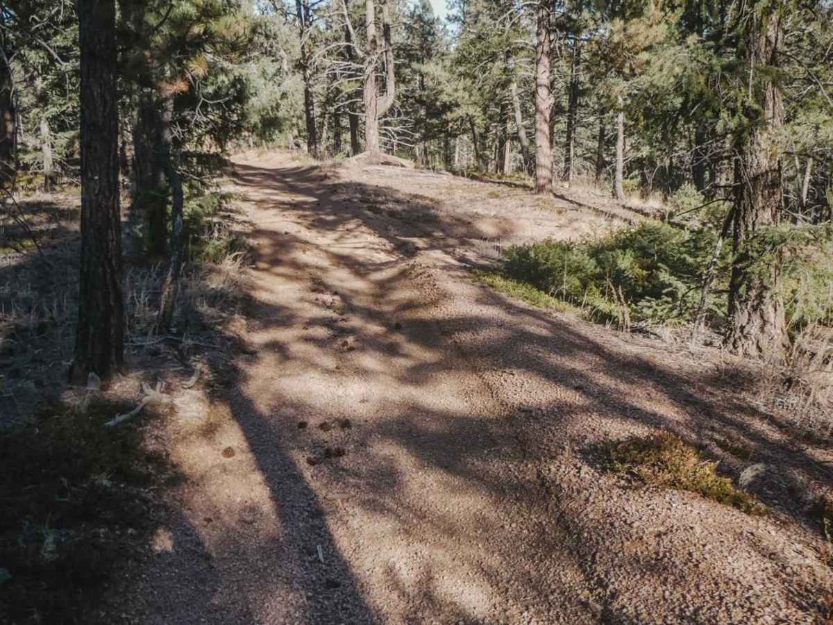 649 Trout Creek ATV Trail photo 4
