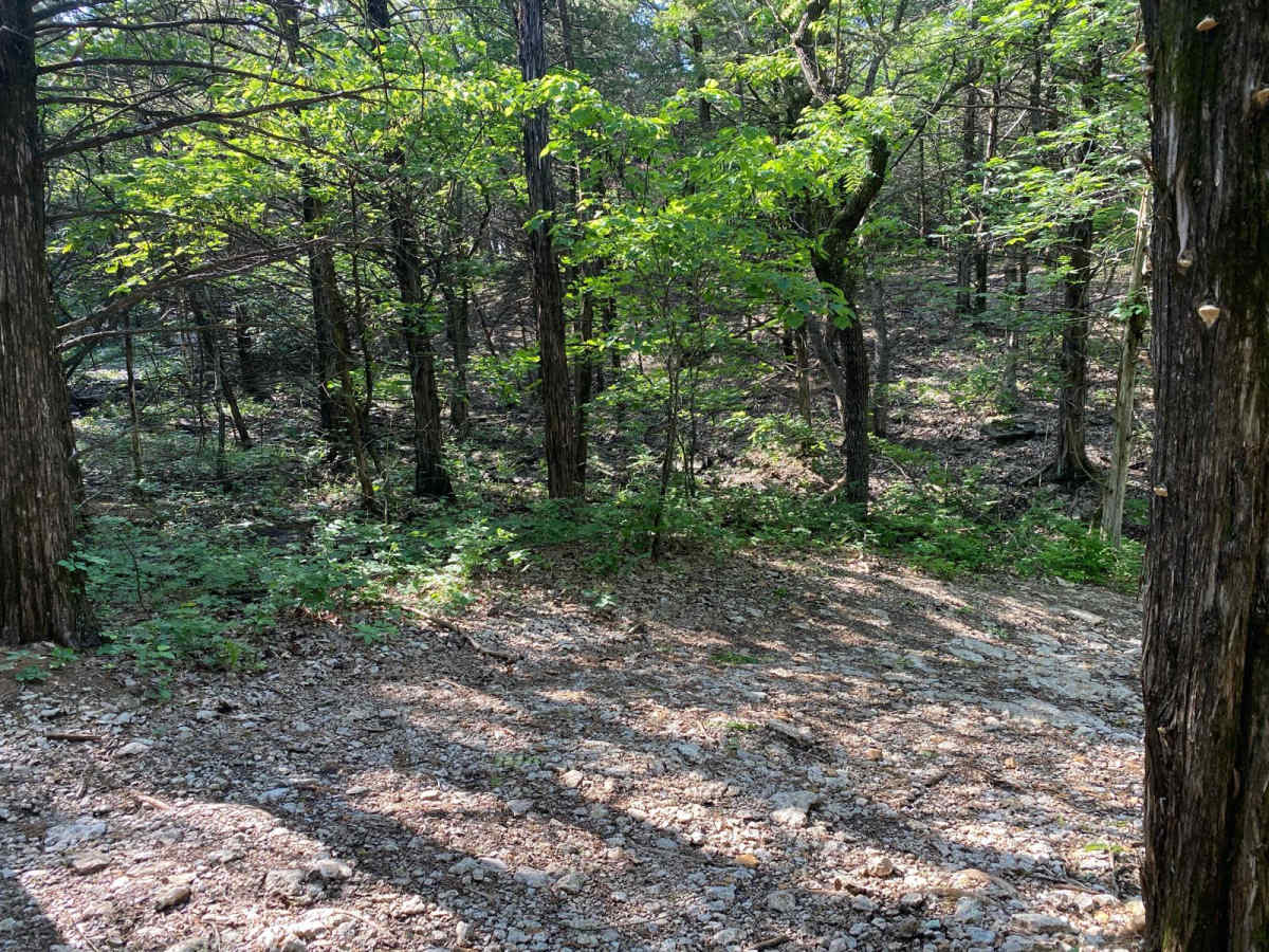 Starkey's Loop photo 3