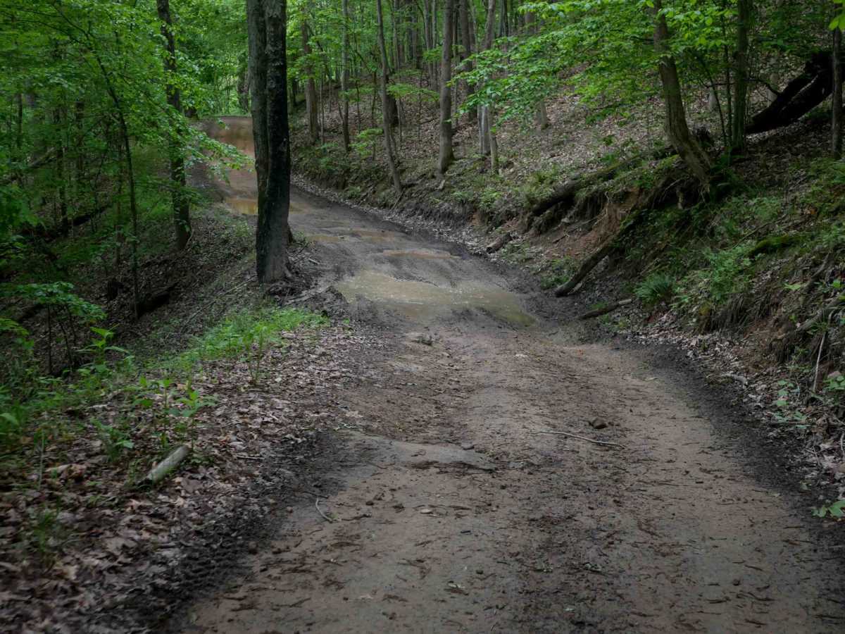 IB 46 trail photo