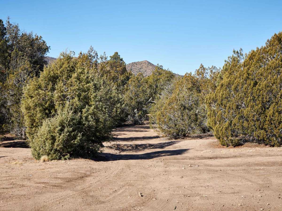 Brushy Basin trail photo