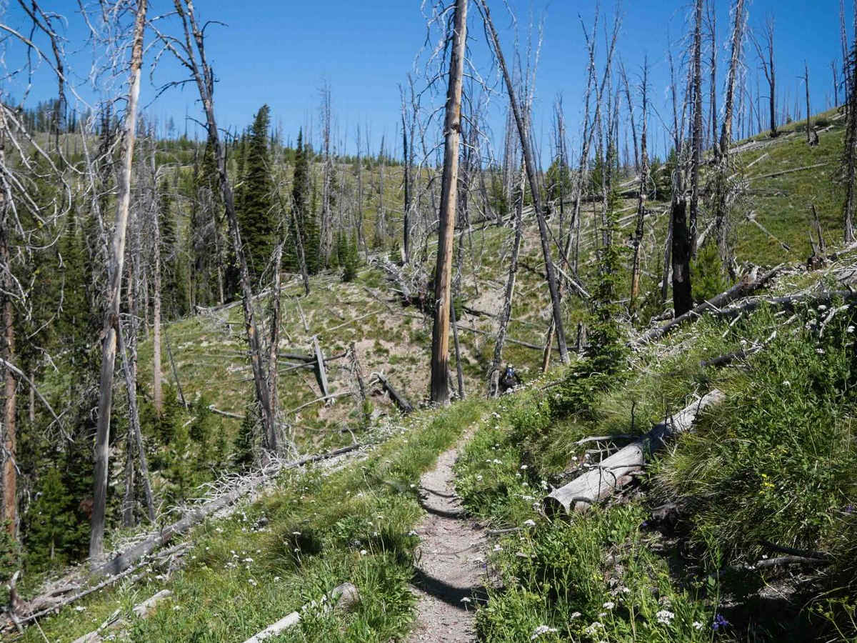 Colter Creek photo 6