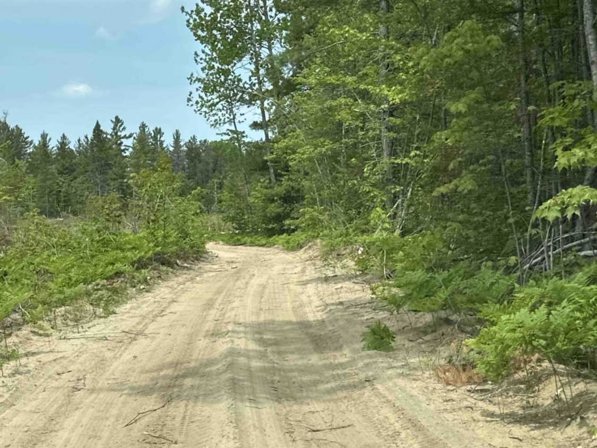 FS 3074 photo 4