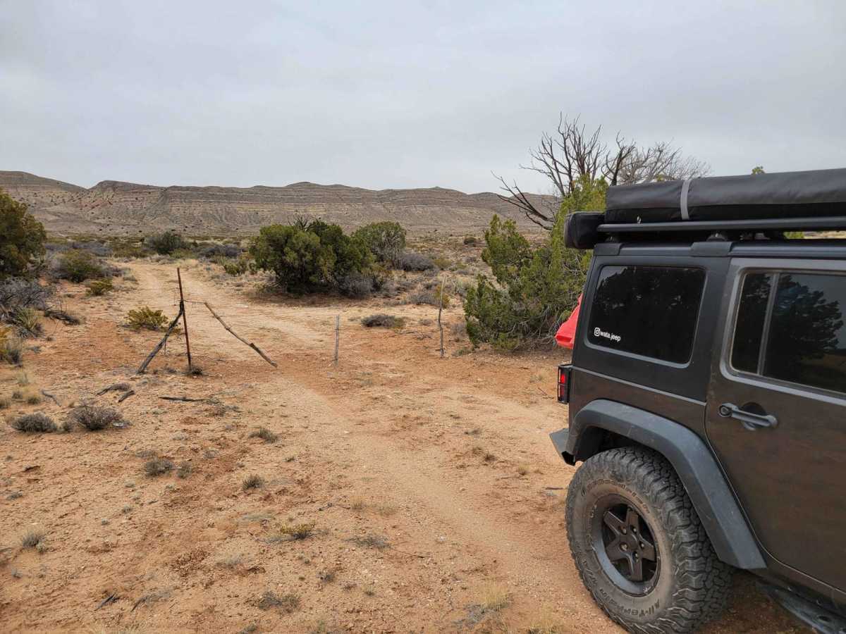 Bosequecito Desert Crossing photo 3