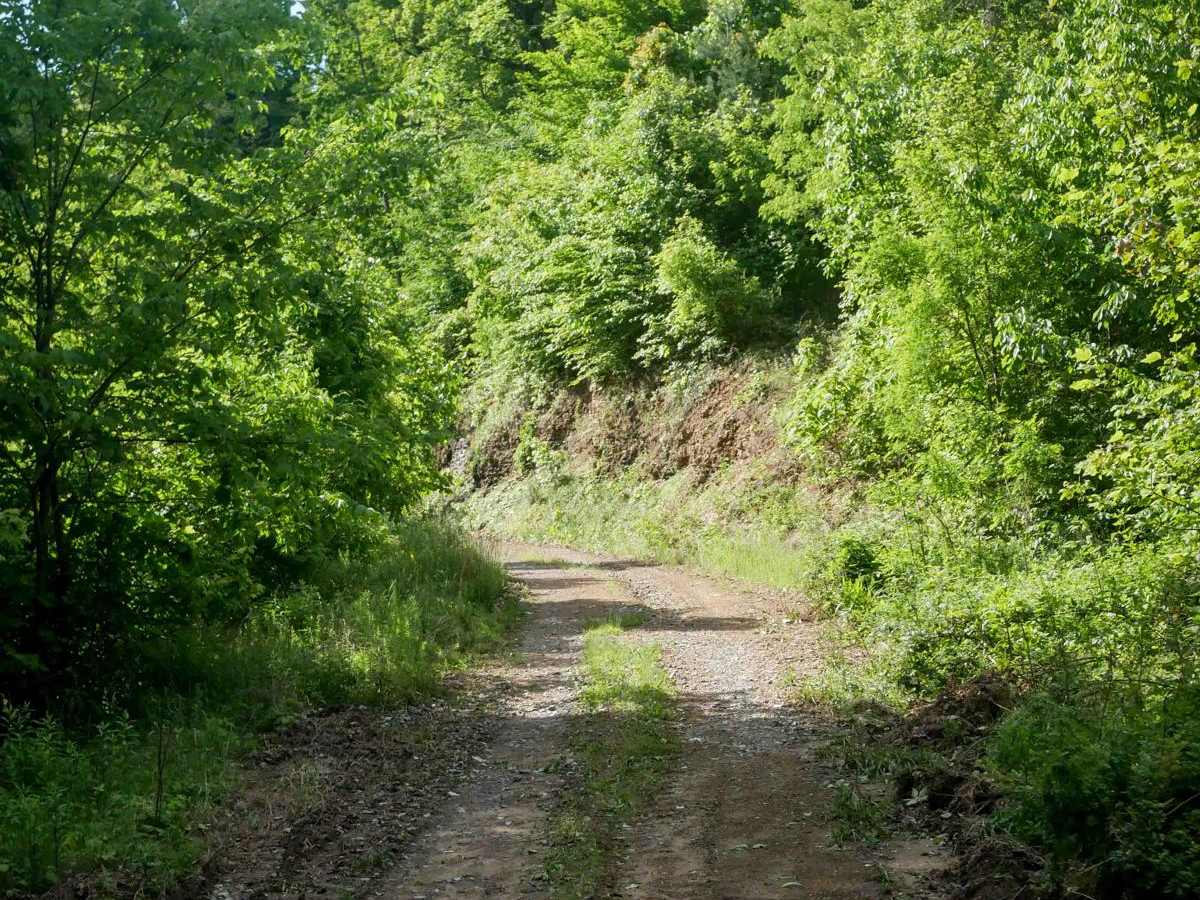 RV31 photo 3