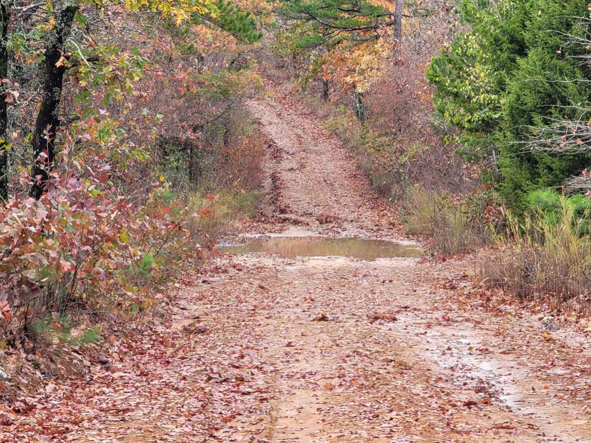 Poteau Tower photo 4