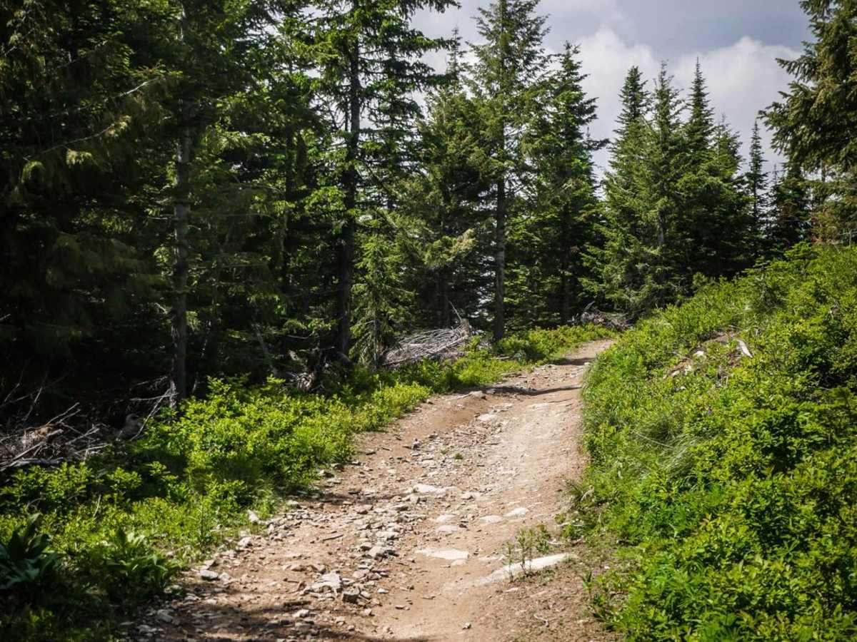 Beason Meadows ATV photo 5