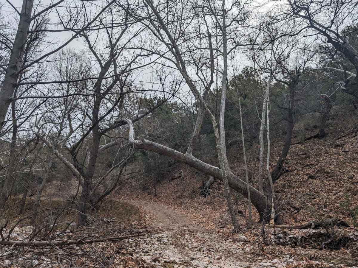 Cherry Creek Road photo 5