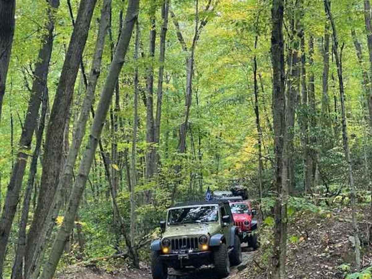 41 Green trail photo