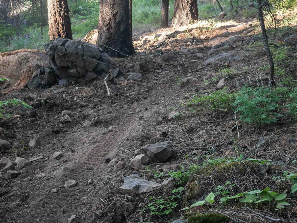 596 trail photo