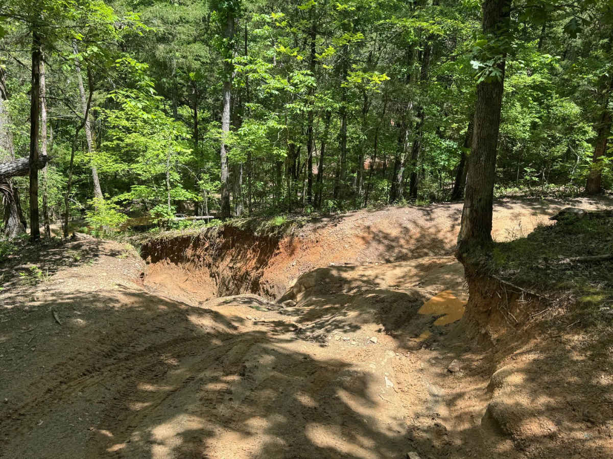 Clemson Trail photo 6