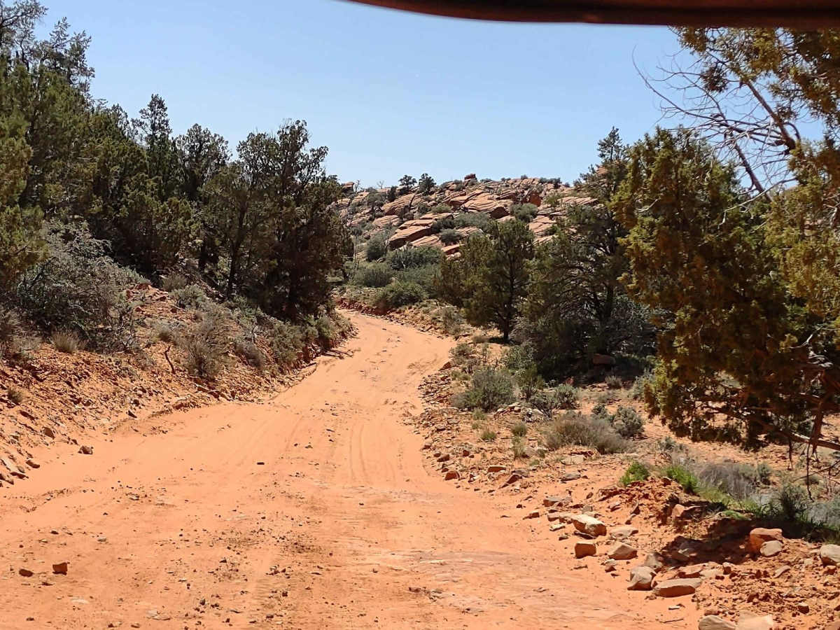 Energy Corridor Rd to Manganese Spring trail photo