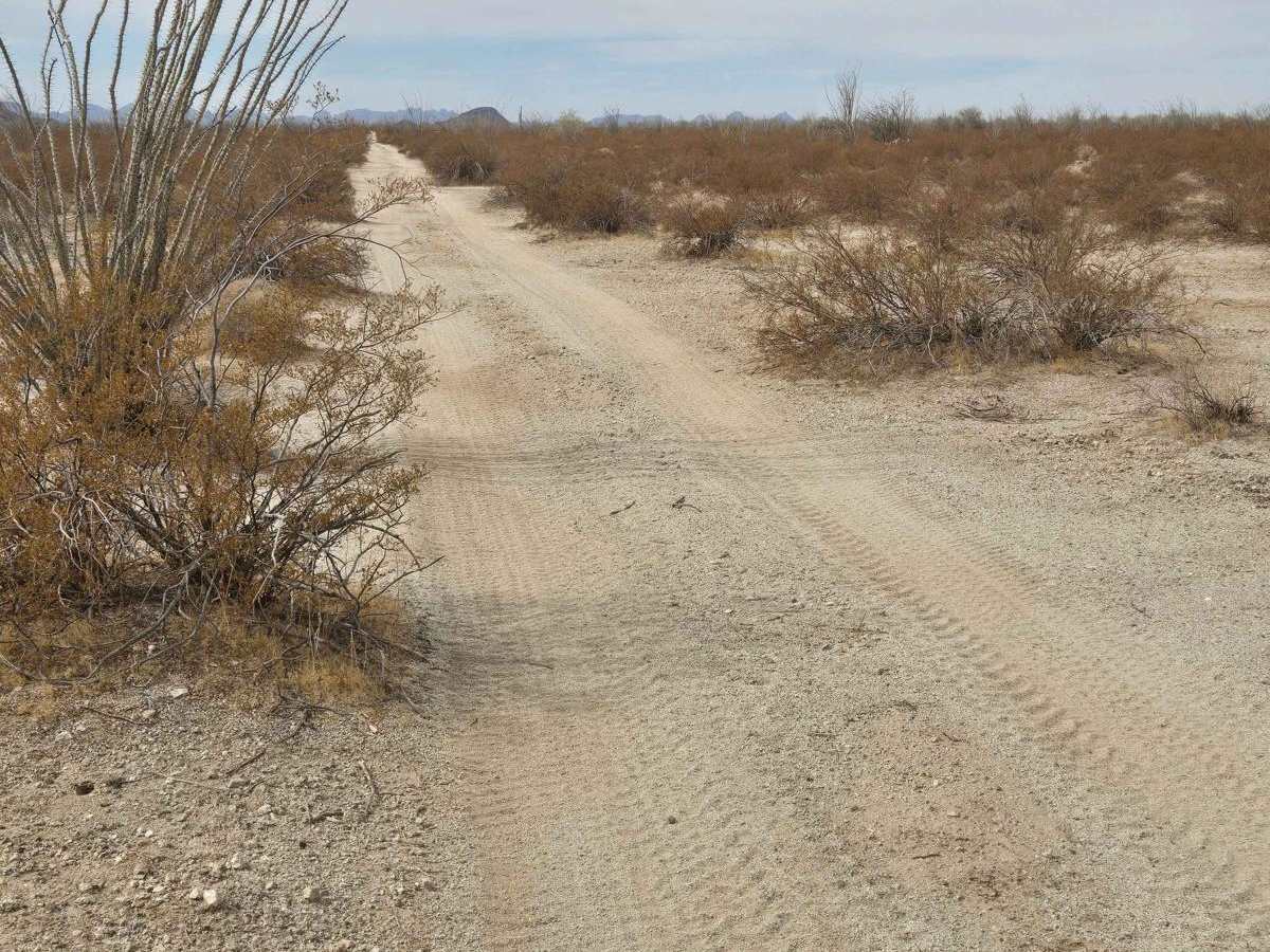 Black Rock Trail photo 4