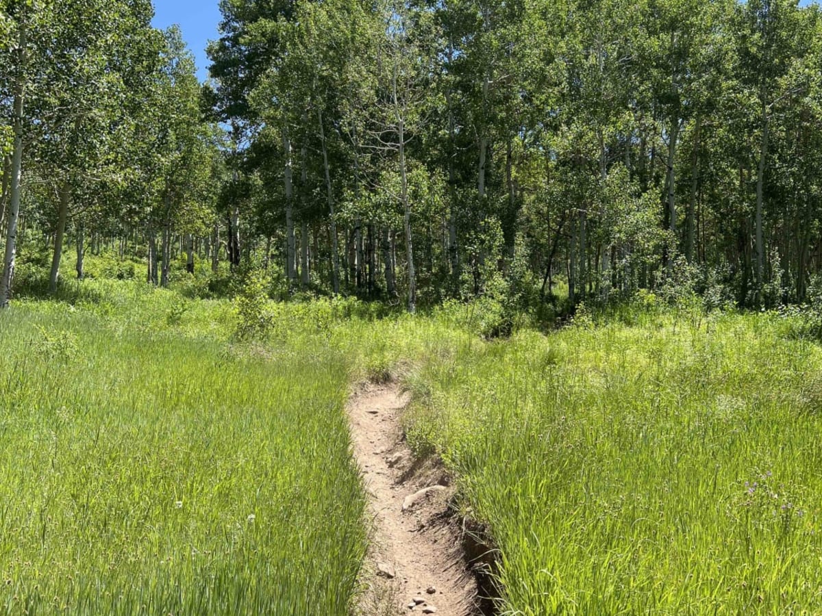 Holman (2039) trail photo