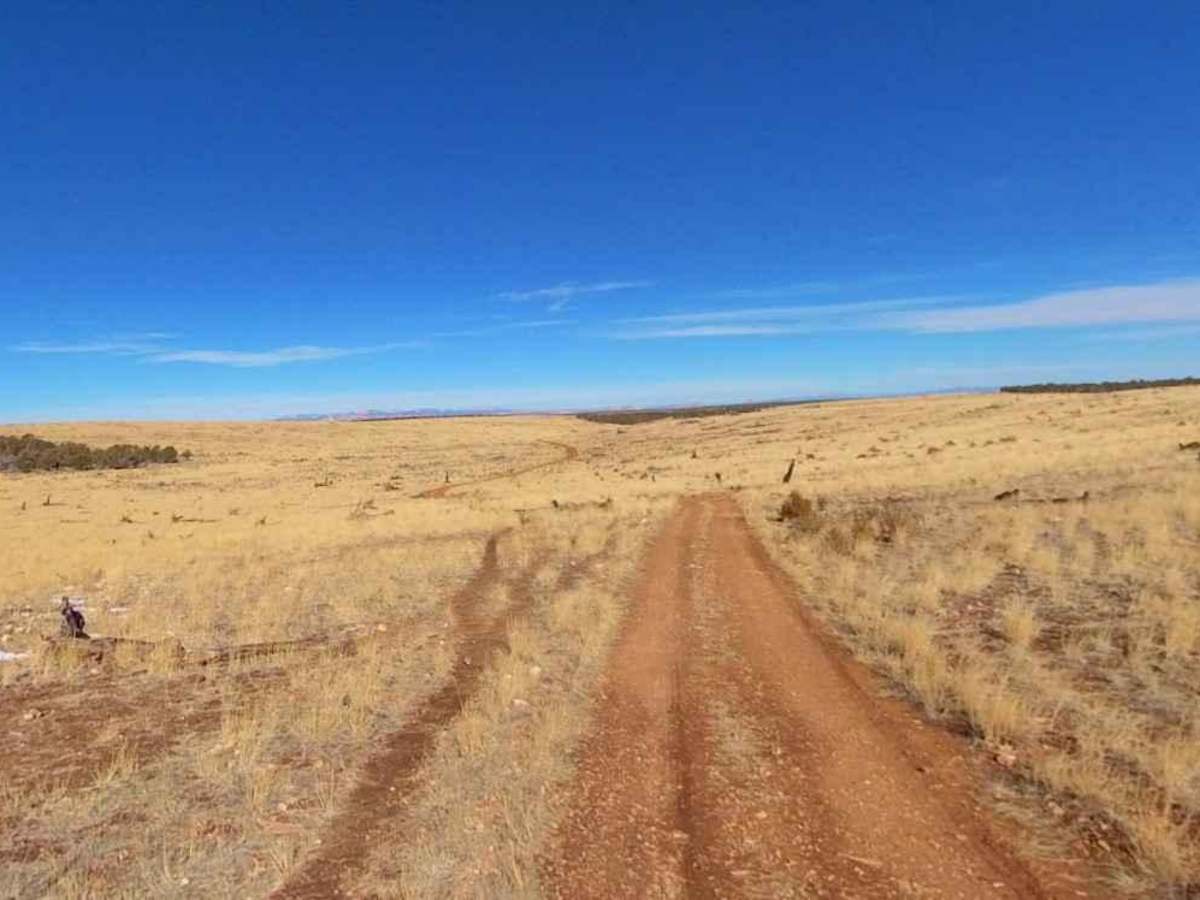 Larkum Canyon Road photo 5