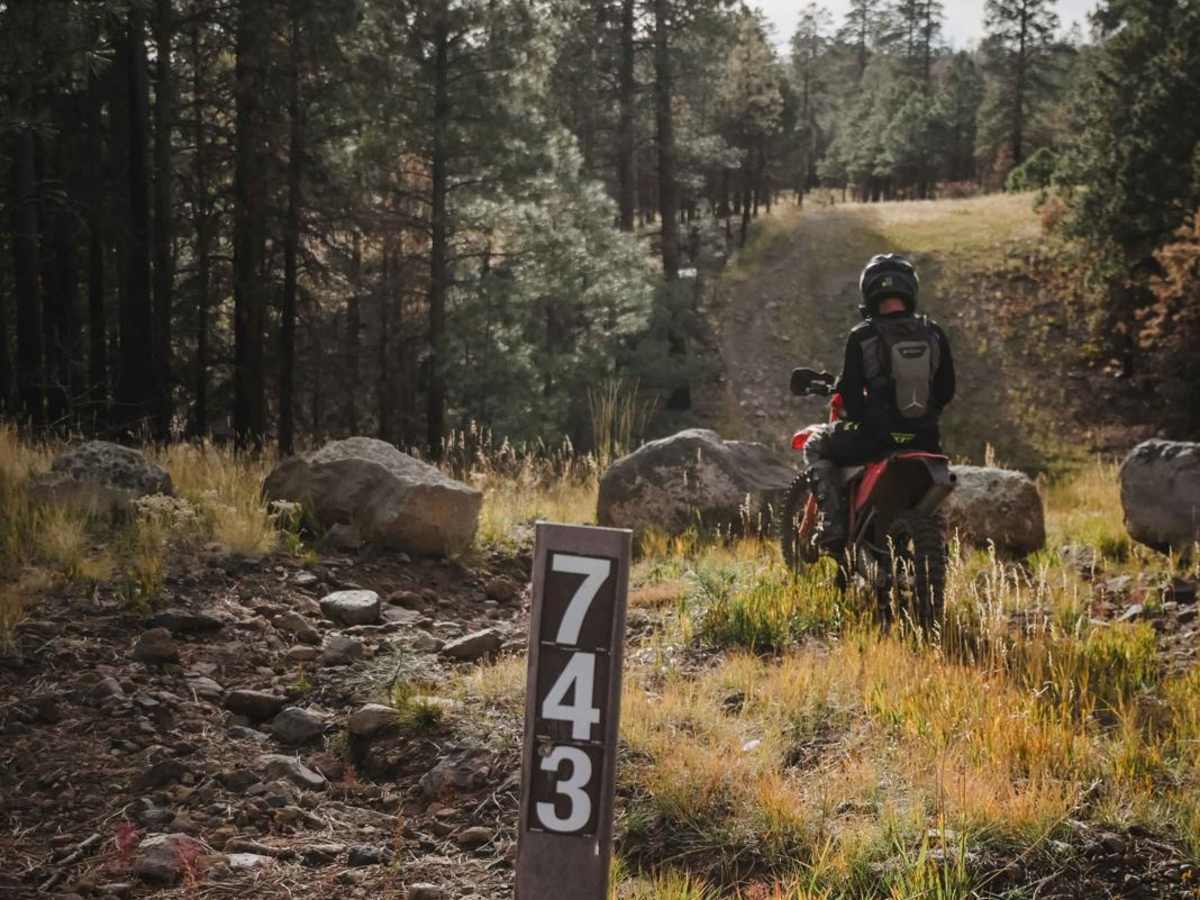 Pipeline photo 3