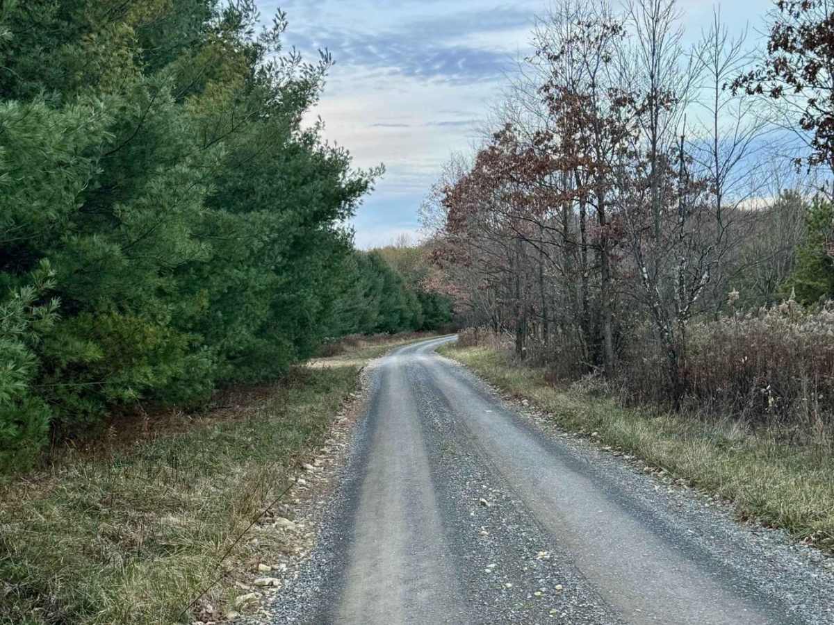 Jews Run Road photo 3