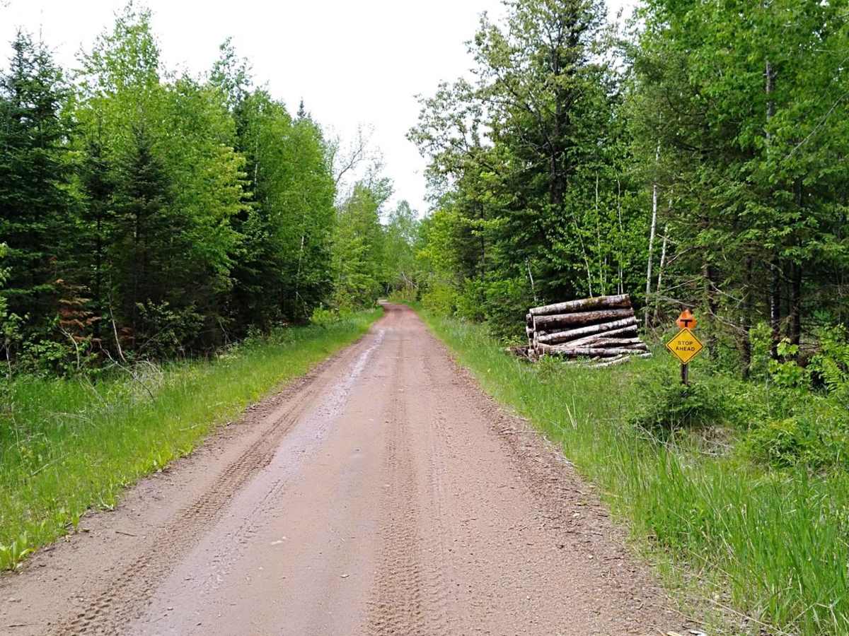 UPM Blandin Trail N photo 4
