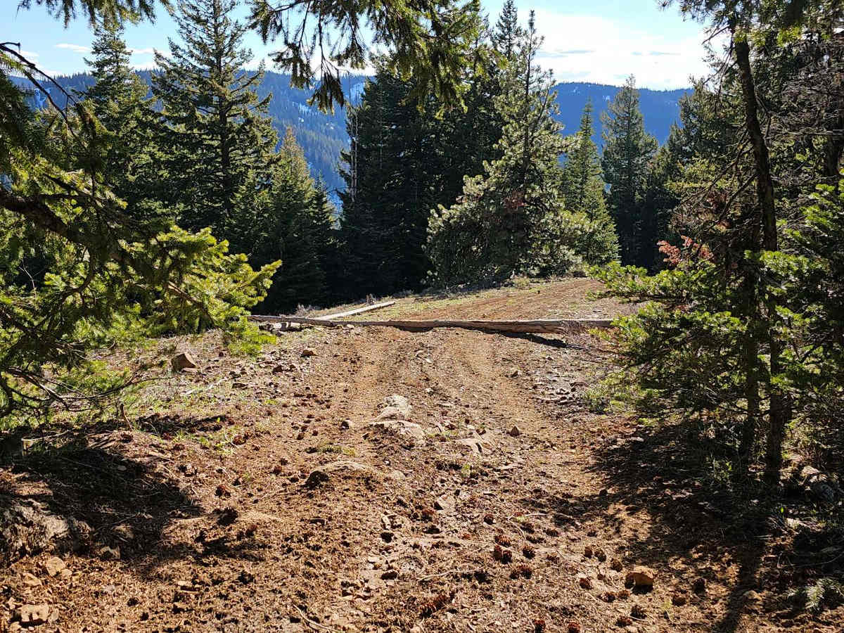 4W310 Frost Mountain photo 2