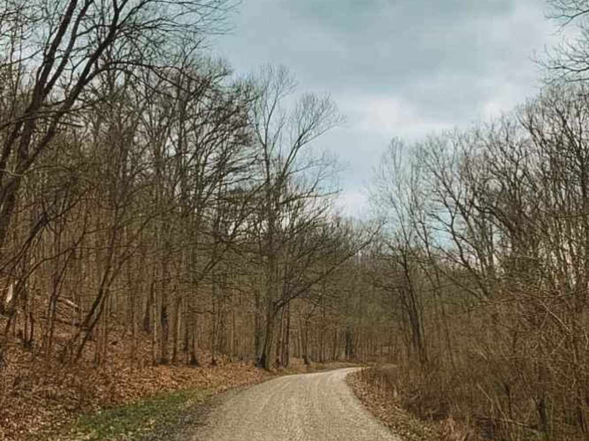 Horse Run Road photo 3