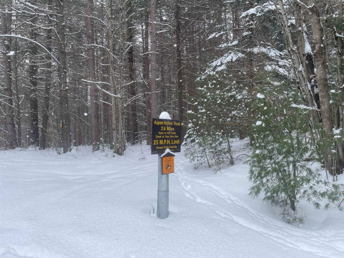 Aspen Hollow Road trail photo
