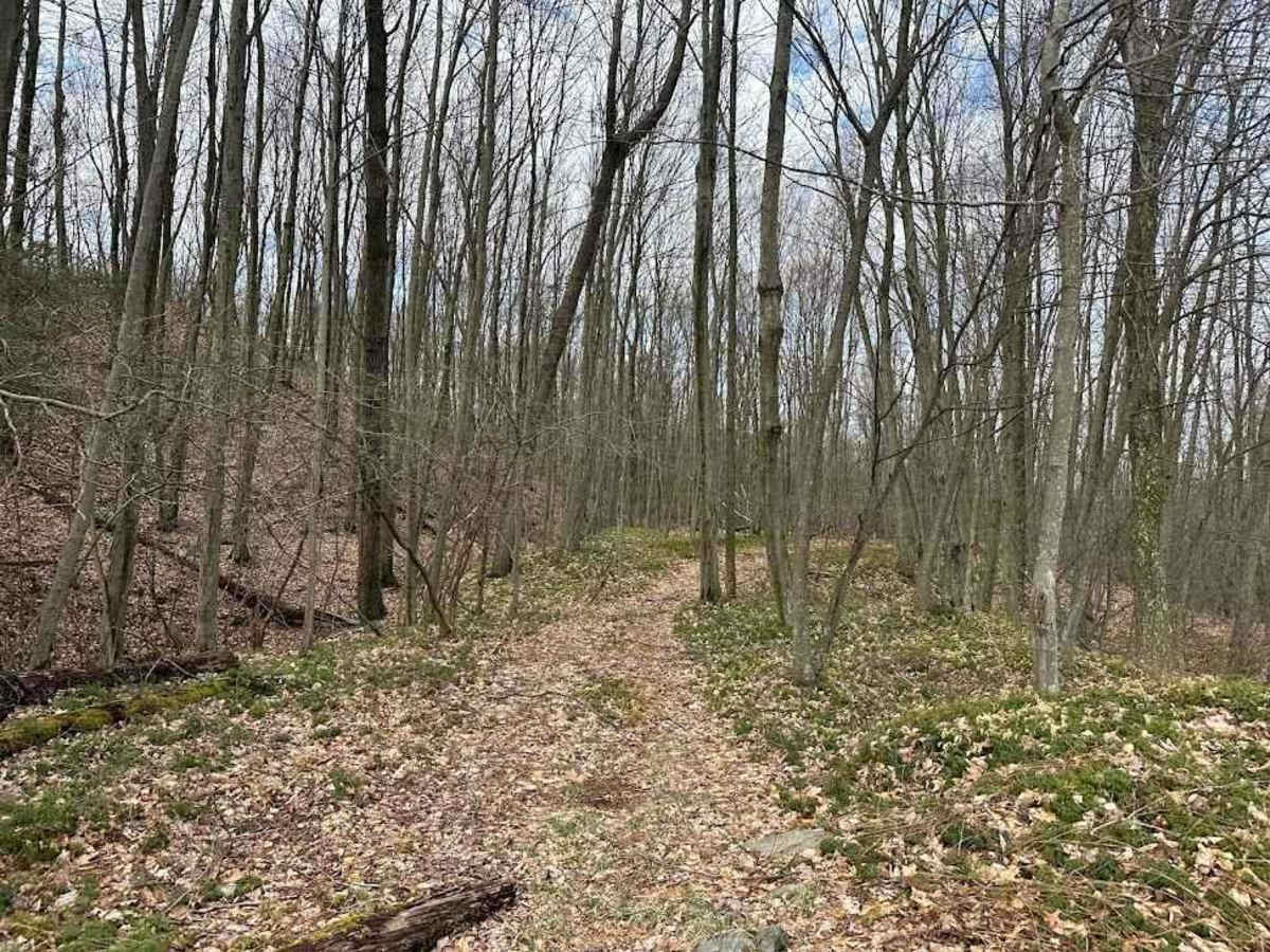 Ashland 136 trail photo