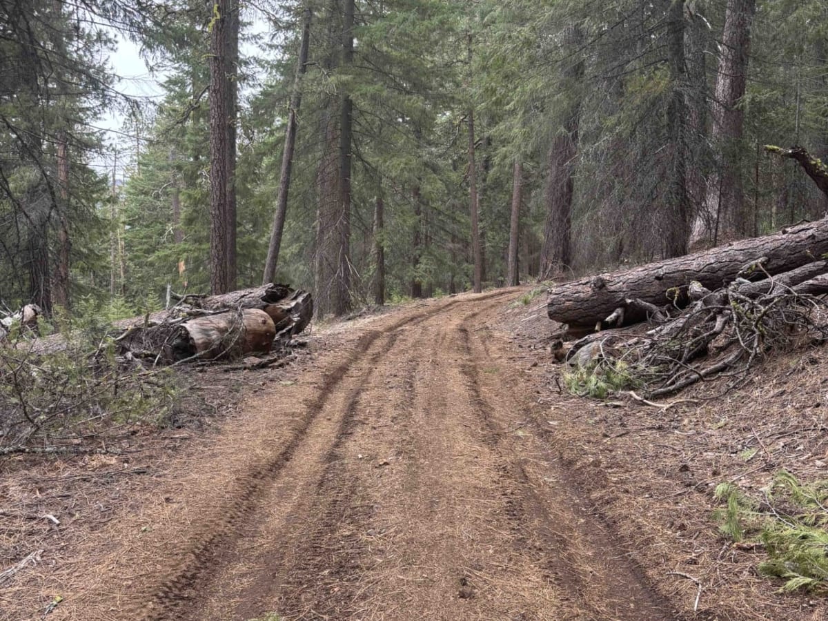 Lower Butte Loops Trail photo 4