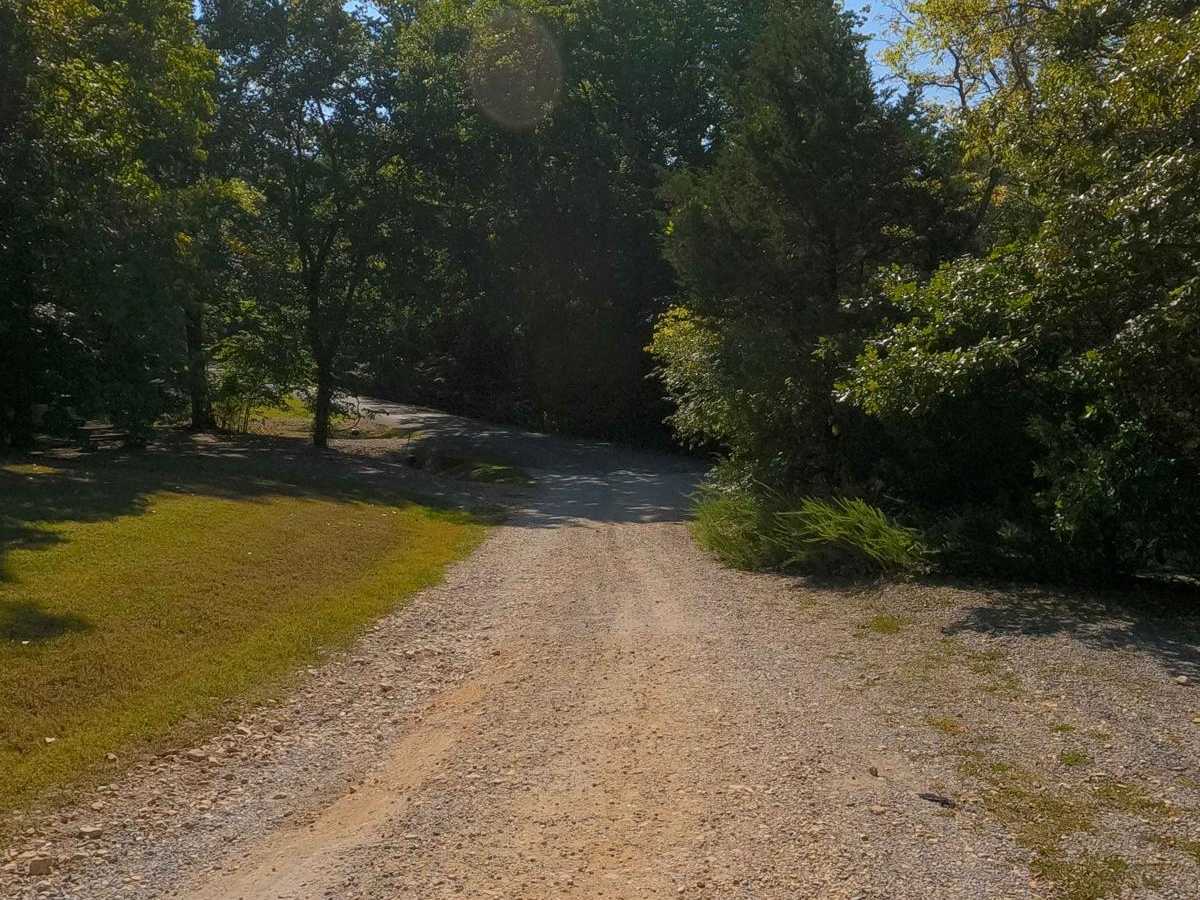 Yale Road - FS 115 photo 4