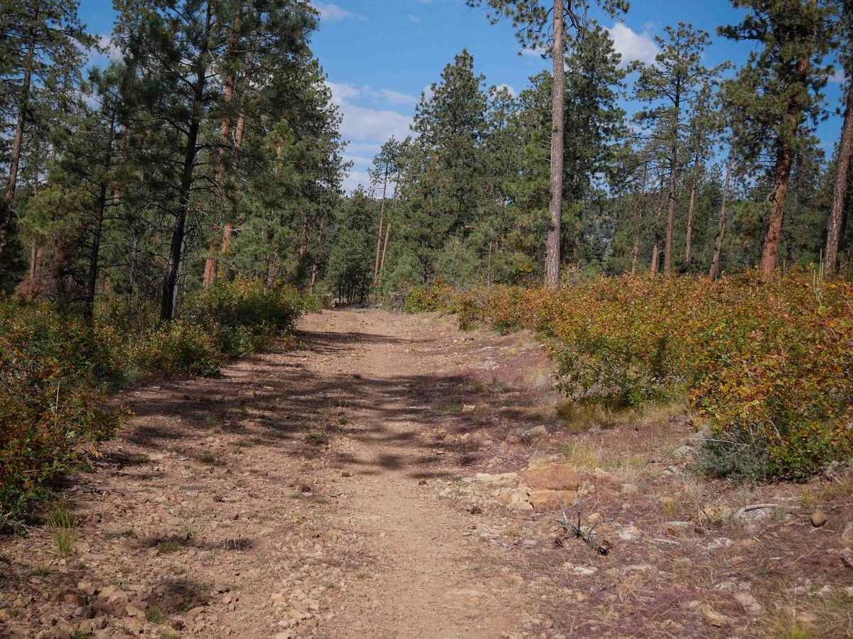 Arbogas Loop photo 3