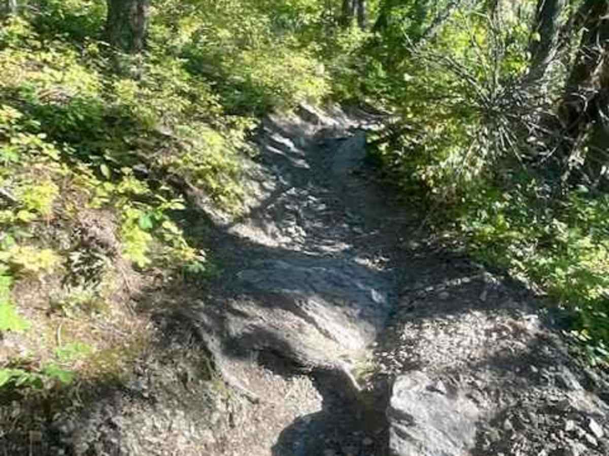 Columbia Mountain Loop photo 3