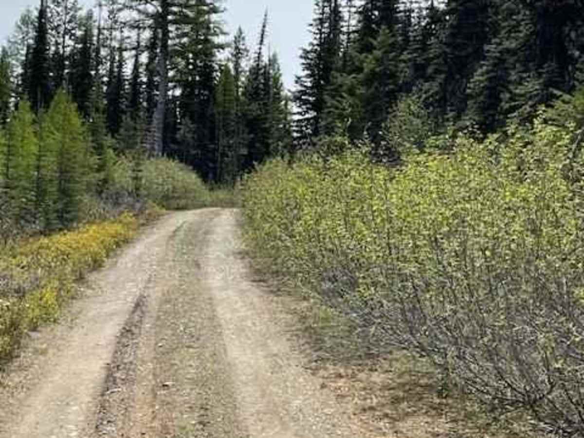 Old Hot Springs Road - HS 1000 photo 5