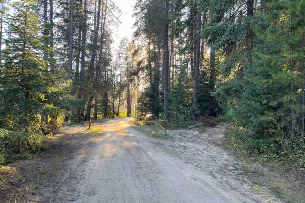 Moose Creek Campground Cutoff